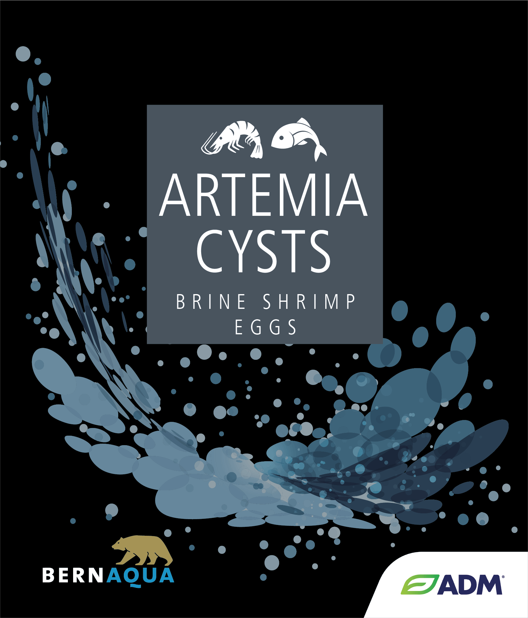 Artemia Cysts by BernAqua