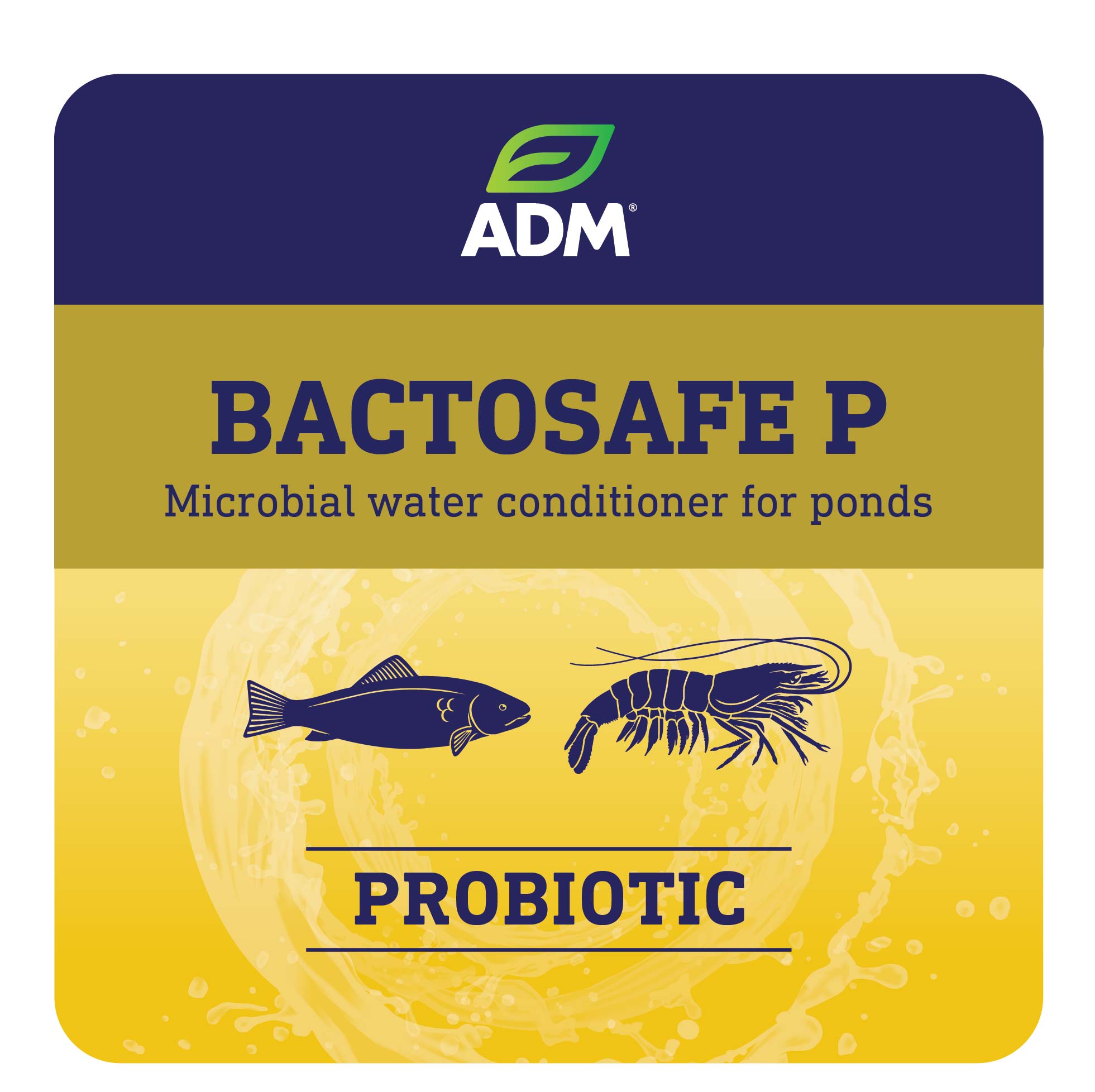 BACTOSAFE P
