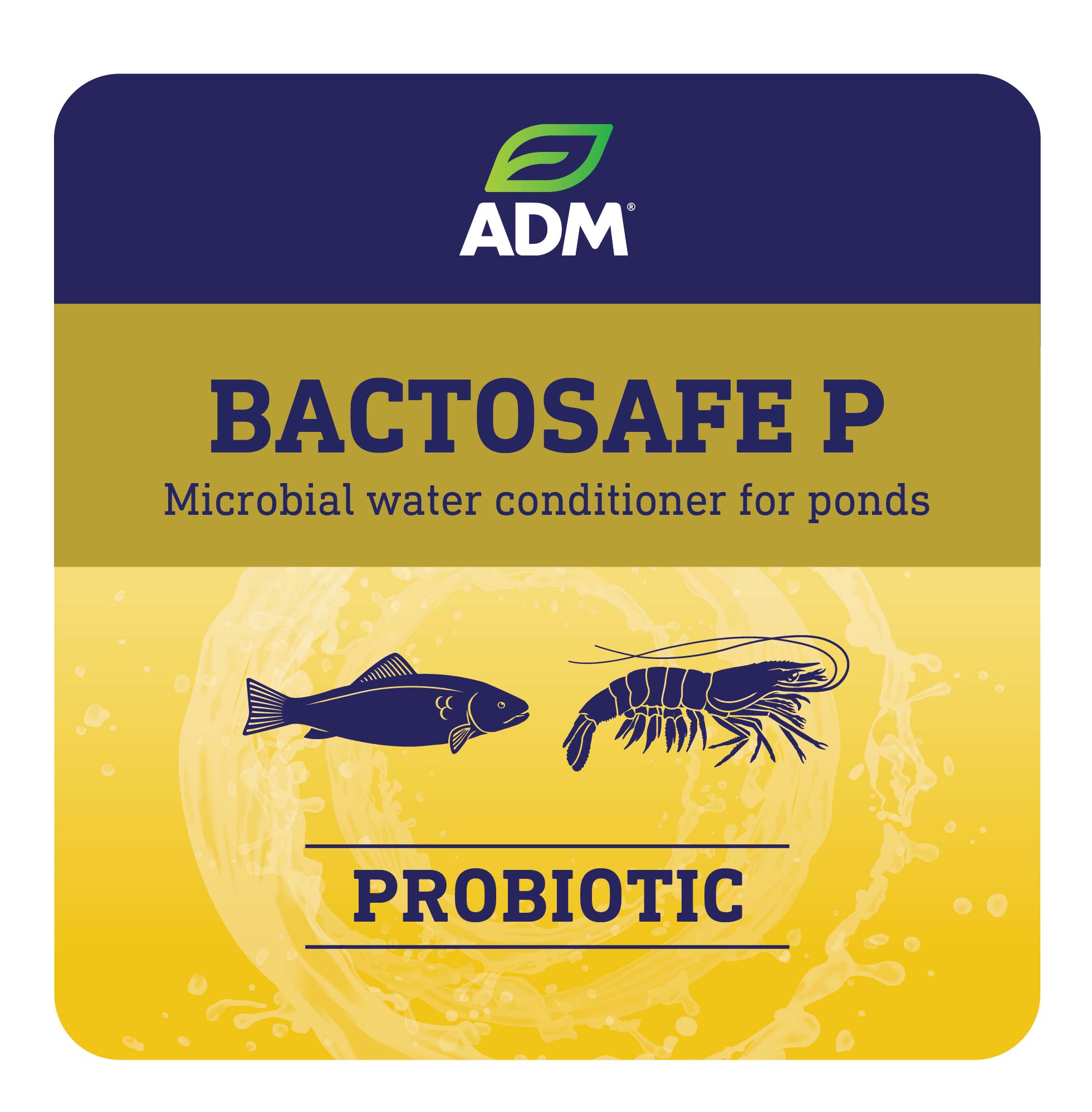 BACTOSAFE P