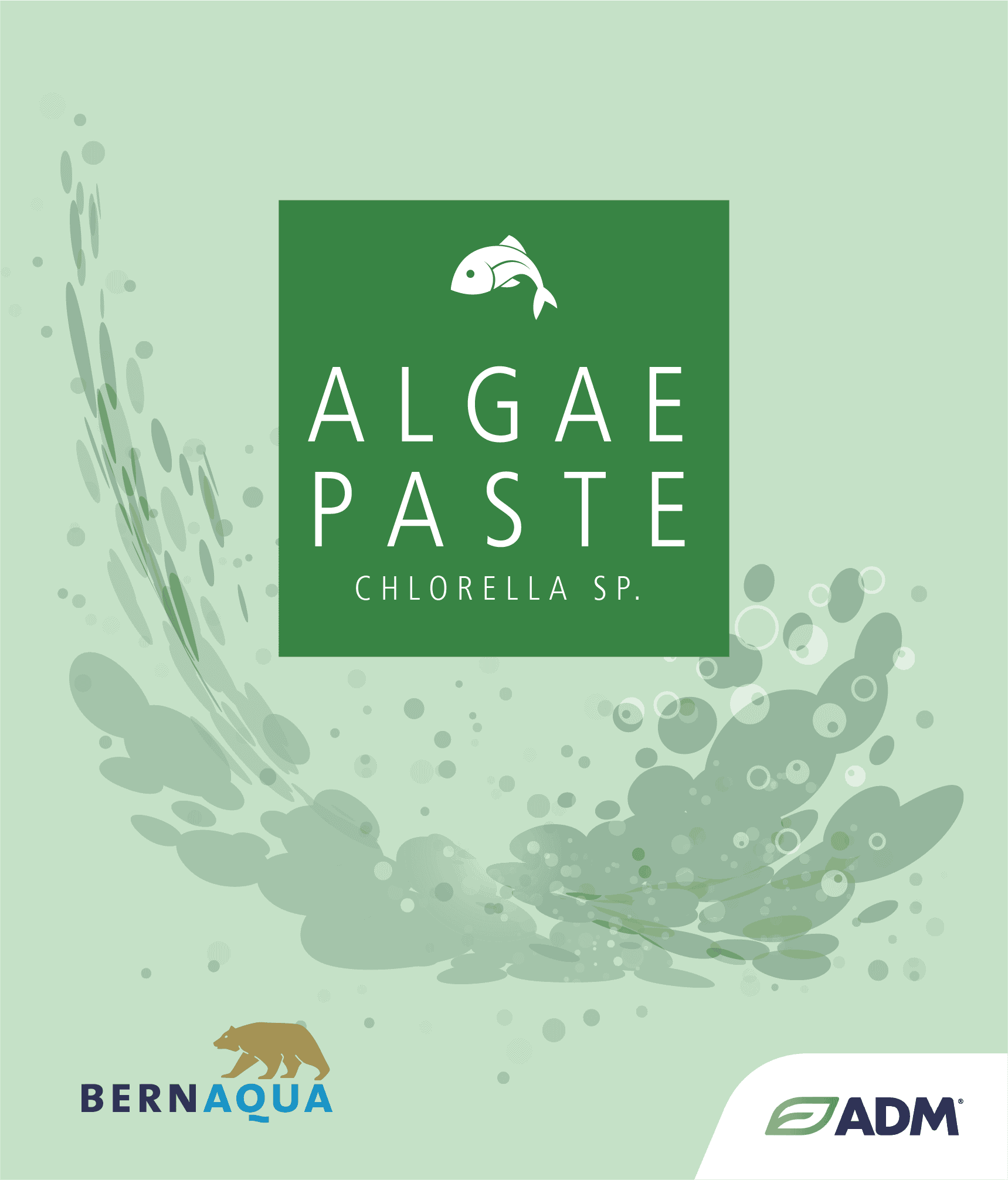 ALGAE PASTE