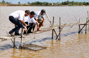 Aquaculture innovation, InMyFarm Application, Technology