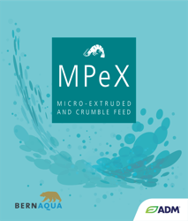 MPEX