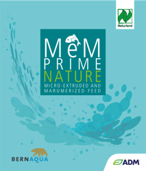 MEM PRIME NATURE