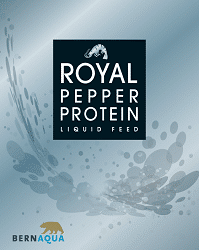 ROYAL PEPPER PROTEIN