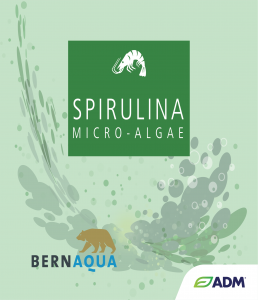 Spirulina by BernAqua