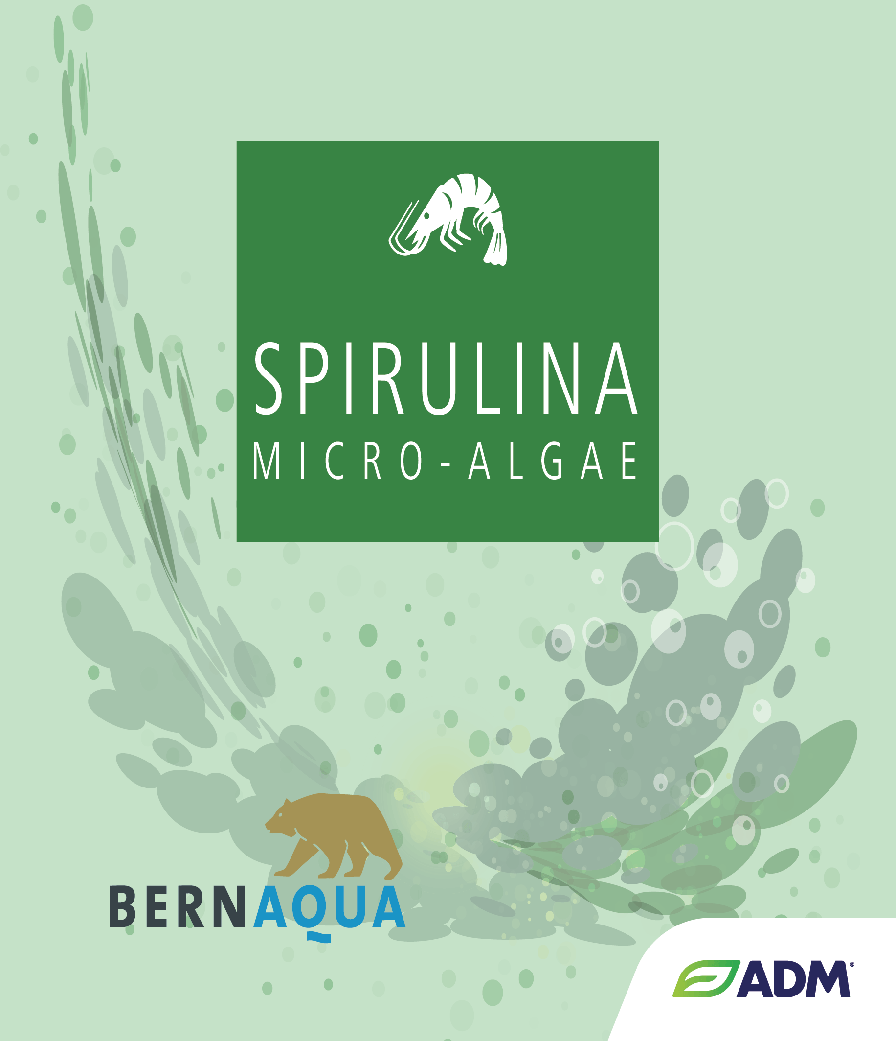 Spirulina by BernAqua