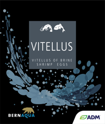 VITELLUS