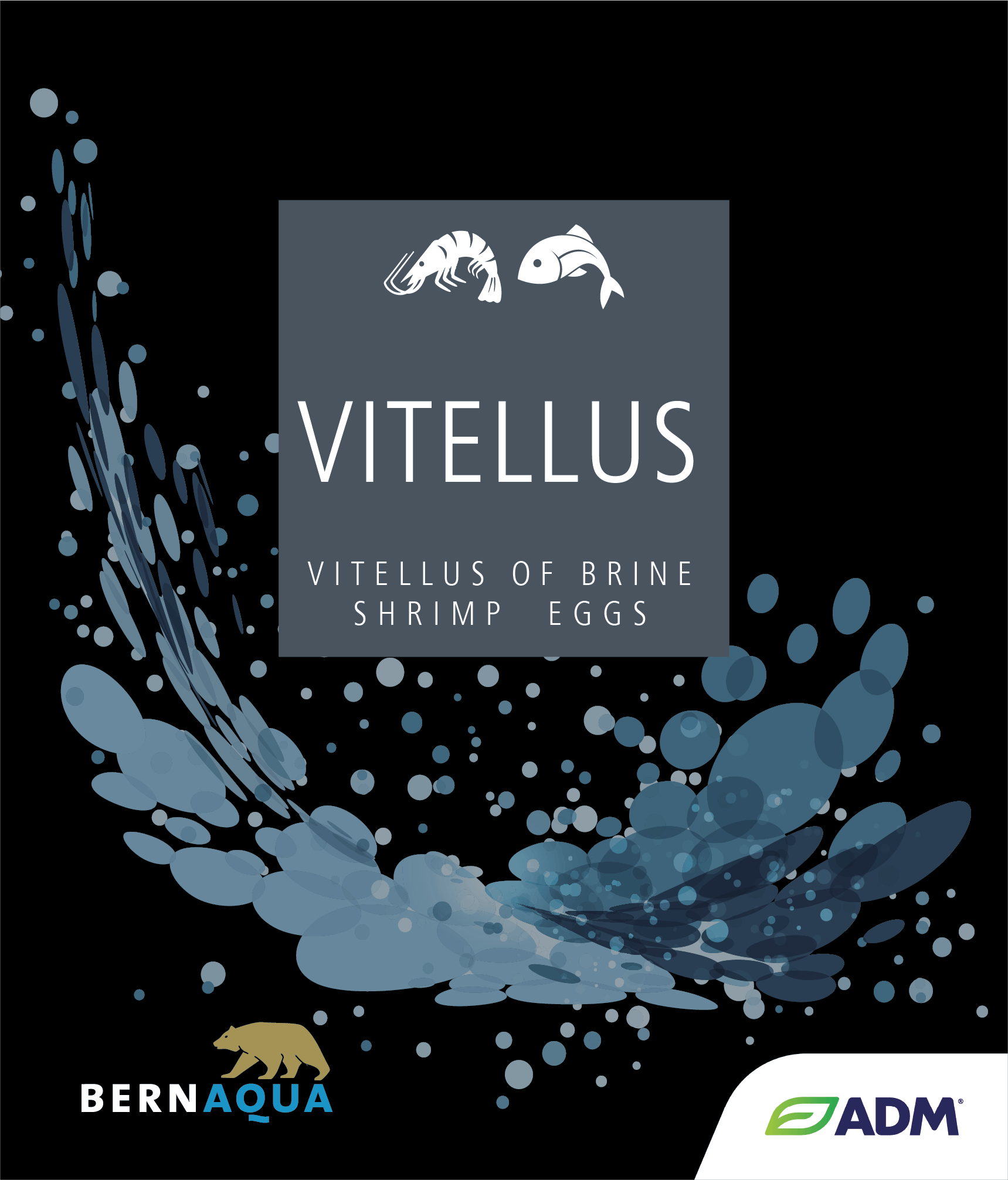 Vitellus by BernAqua