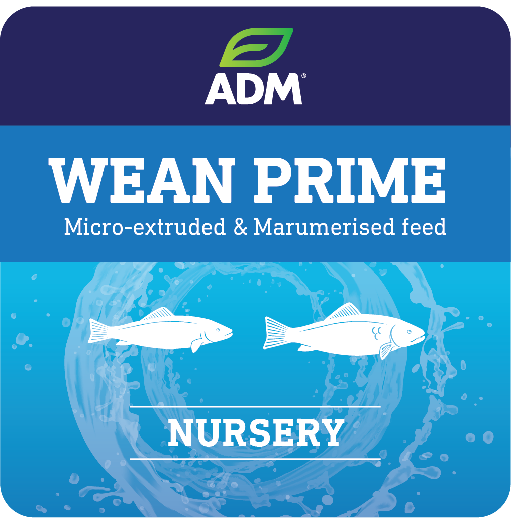 WEAN PRIME