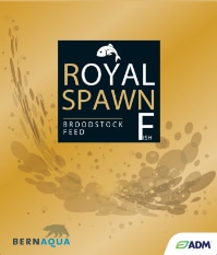 ROYAL SPAWN F