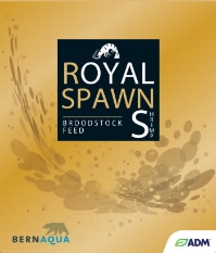 ROYAL SPAWN S