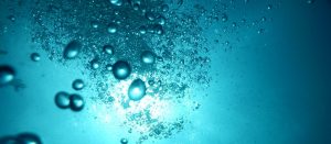 Environment, Water quality