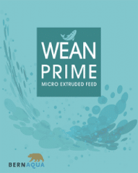WeaN Prime